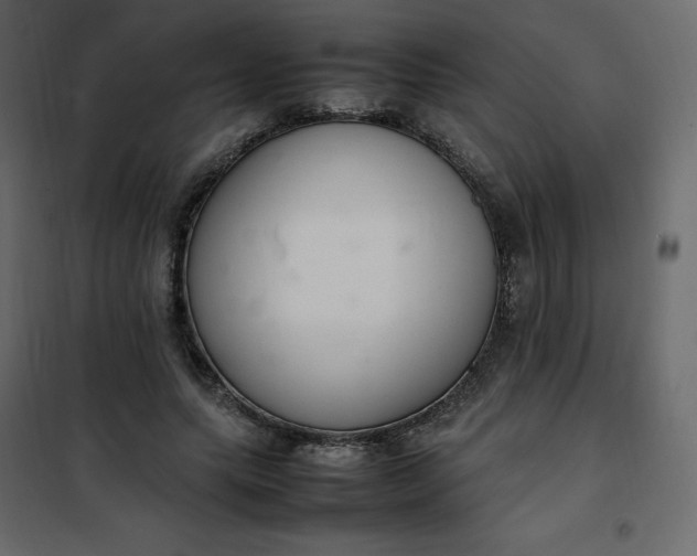 X0000102260639200808081402