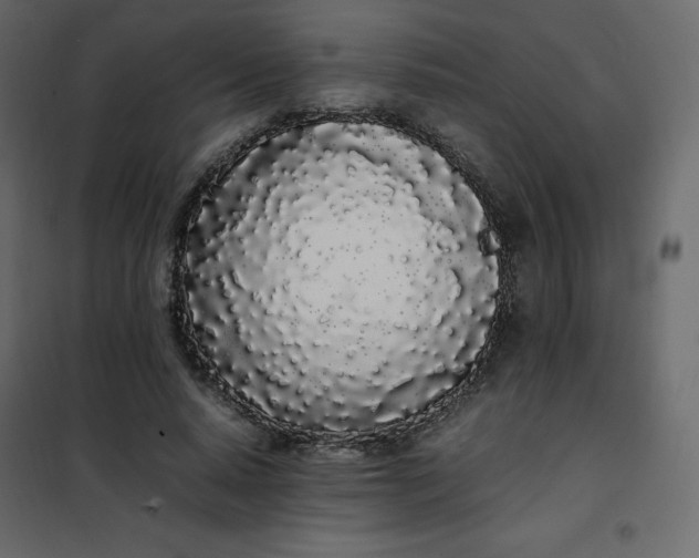 X0000102260640200808081402