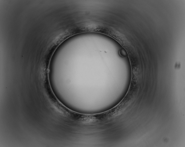 X0000102260642200808081402