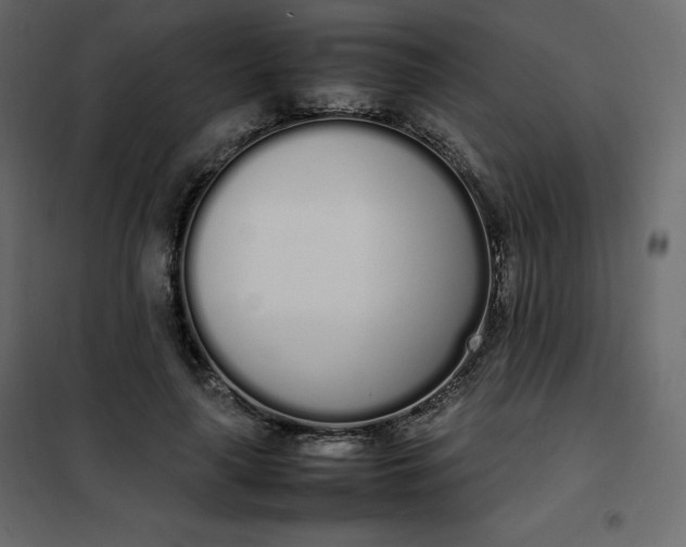 X0000102260643200808081402