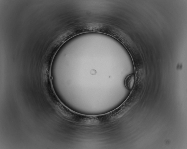 X0000102260644200808081402