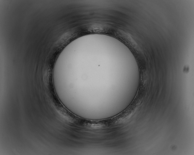 X0000102260645200808081402