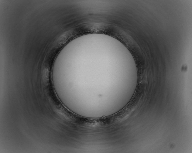 X0000102260646200808081402