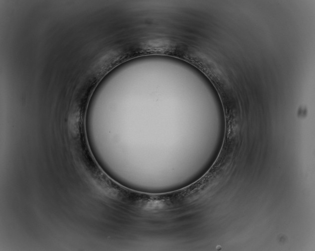 X0000102260647200808081402