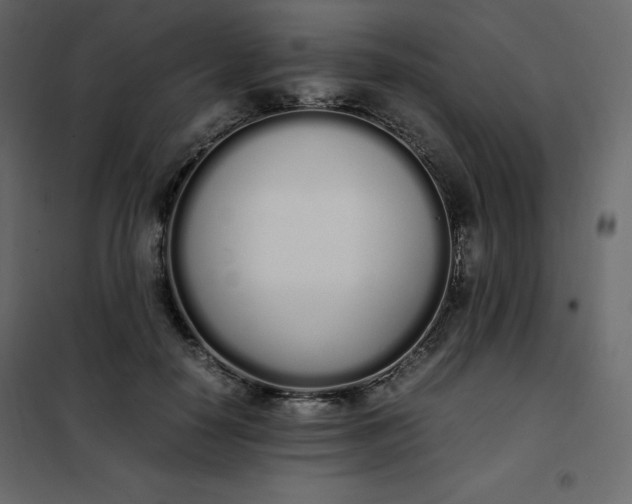 X0000102260650200808081402