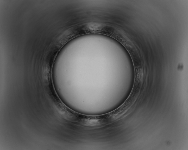 X0000102260651200808081402