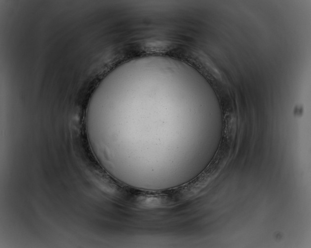 X0000102260655200808081402