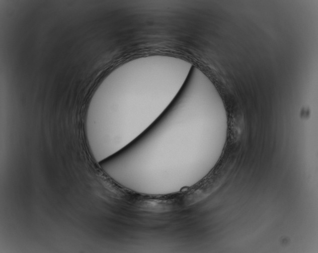 X0000102260657200808081402