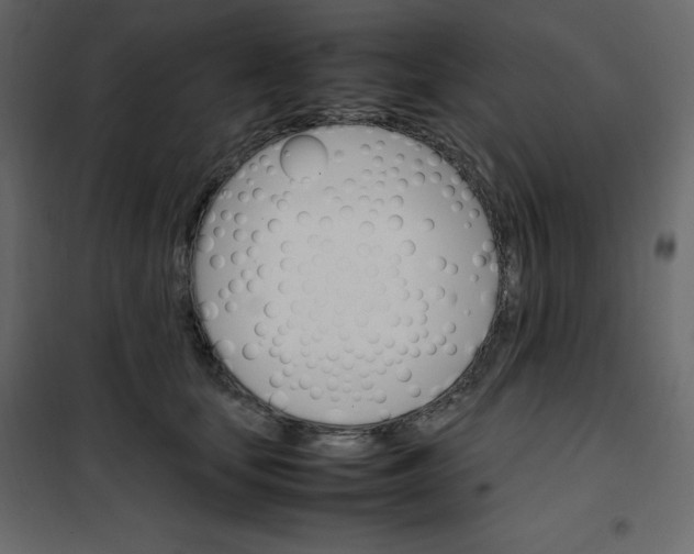 X0000102260659200808081402