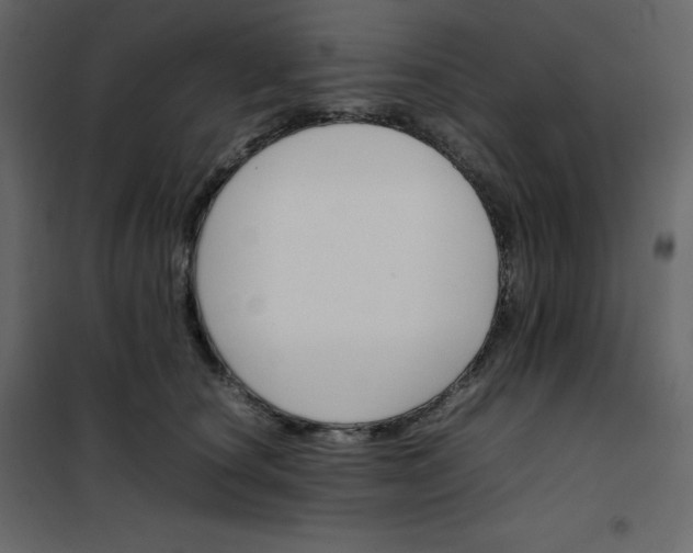 X0000102260660200808081402