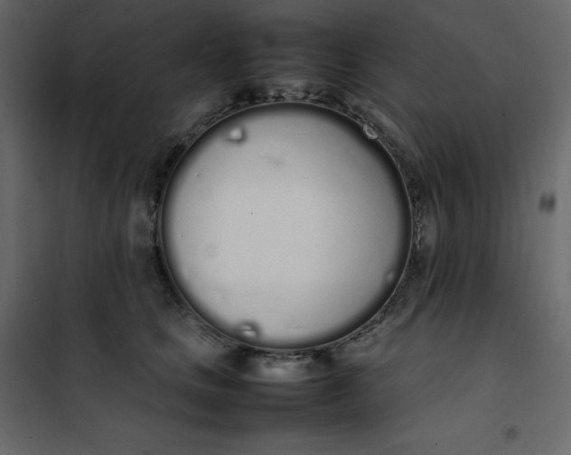 X0000102260661200808081402