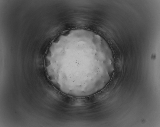 X0000102260663200808081402