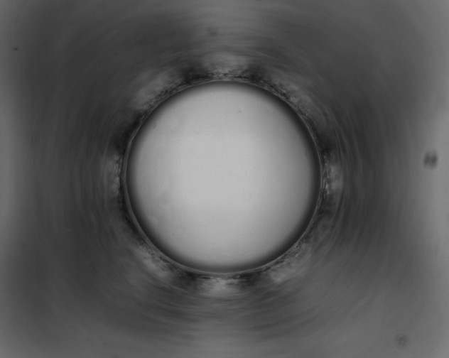 X0000102260664200808081402