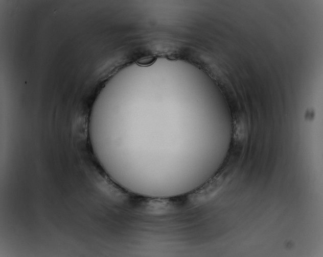 X0000102260666200808081402