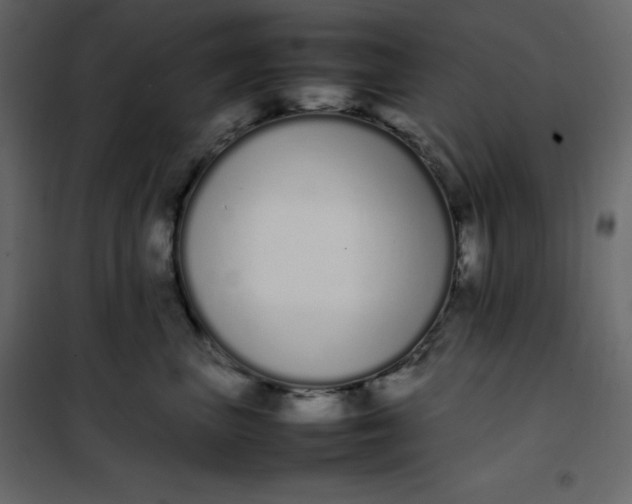 X0000102260667200808081402