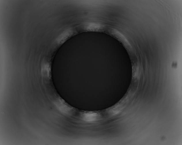 X0000102260669200808081402