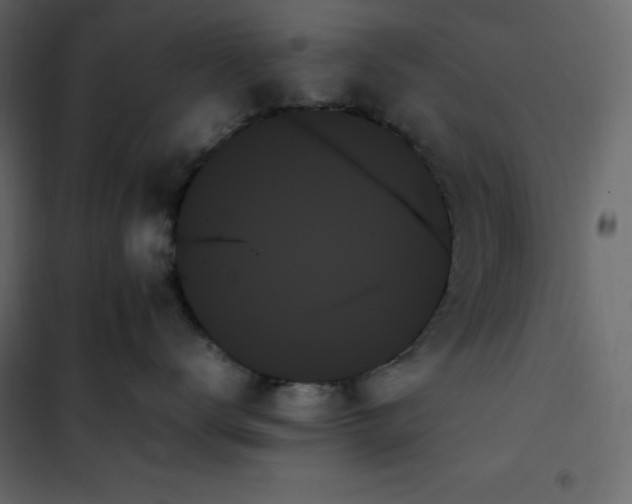 X0000102260672200808081402