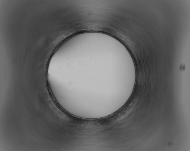 X0000102260673200808081401