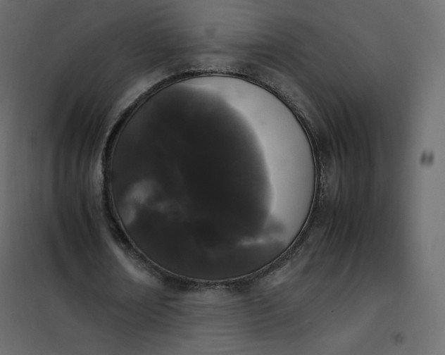 X0000102260674200808081401