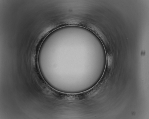 X0000102260675200808081401