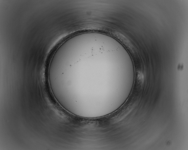 X0000102260676200808081401