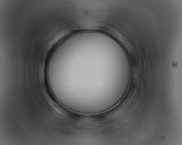 X0000102260677200808081401