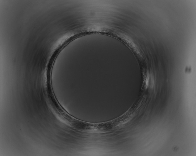 X0000102260678200808081401