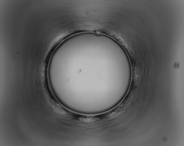 X0000102260679200808081401