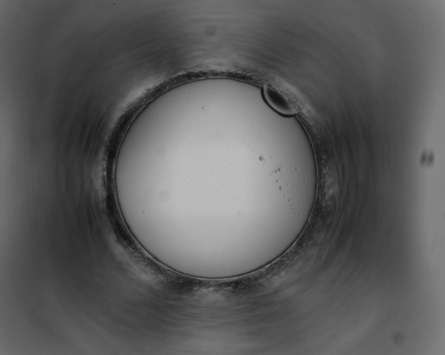 X0000102260680200808081401