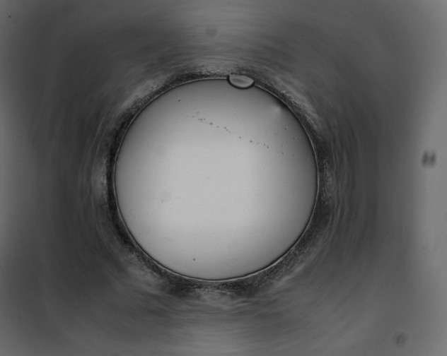 X0000102260681200808081401