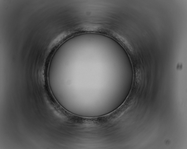 X0000102260682200808081401