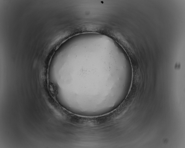 X0000102260683200808081401