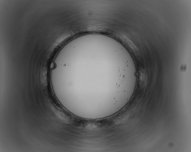 X0000102260684200808081401