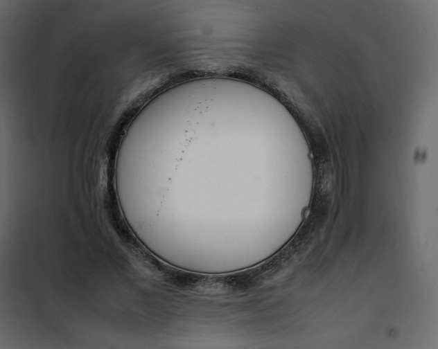 X0000102260685200808081401