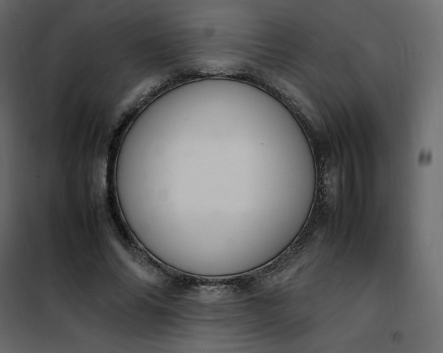 X0000102260686200808081401