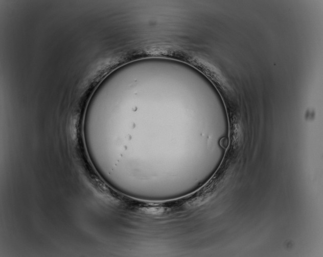 X0000102260687200808081401