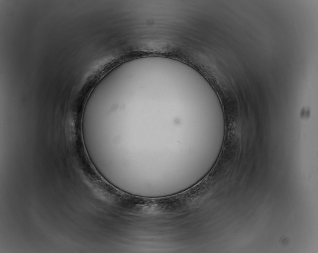 X0000102260688200808081401