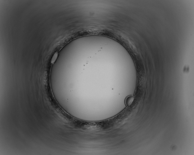 X0000102260689200808081401