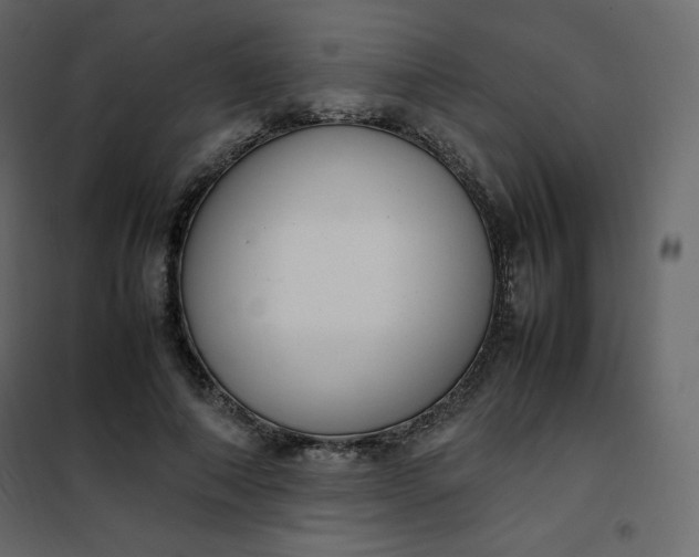 X0000102260690200808081401