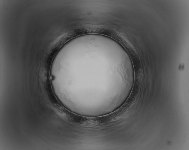 X0000102260691200808081401