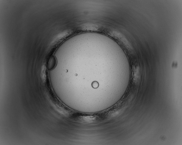 X0000102260692200808081401