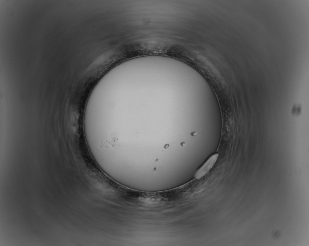 X0000102260693200808081401