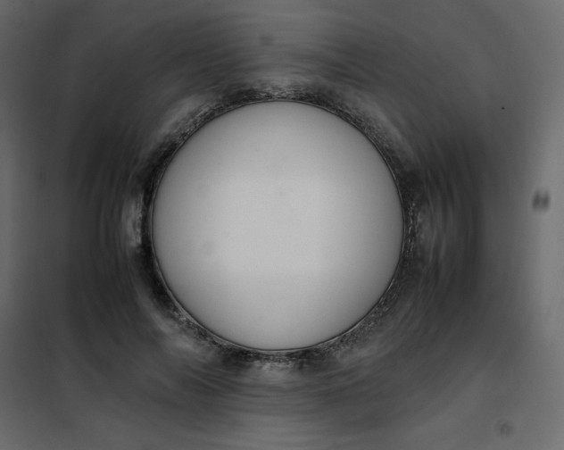 X0000102260694200808081401