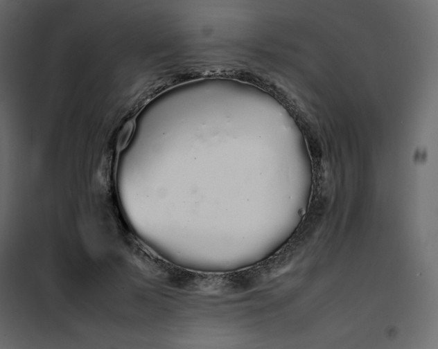 X0000102260695200808081401