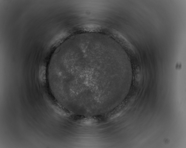 X0000102260696200808081401