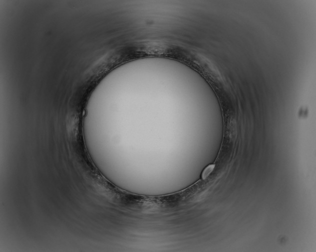 X0000102260697200808081401