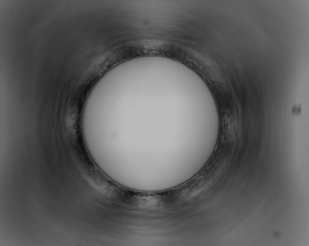 X0000102260698200808081401