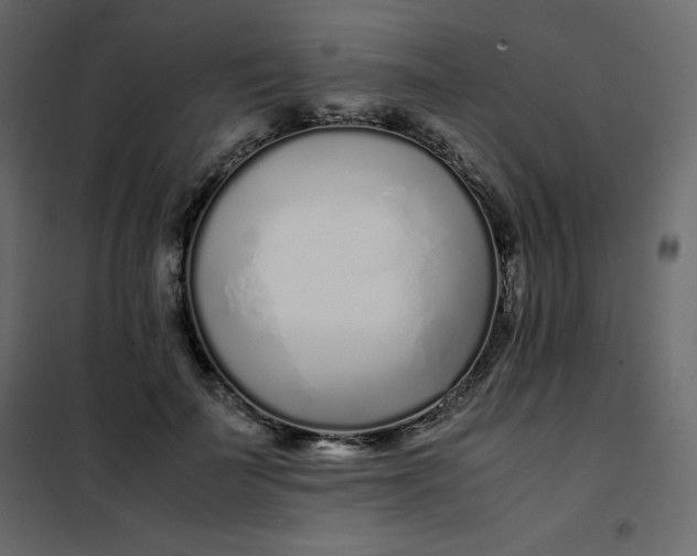 X0000102260699200808081401