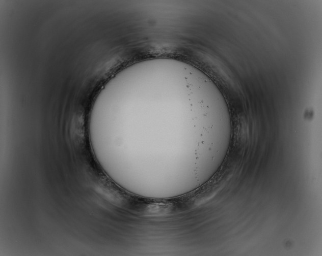 X0000102260700200808081401