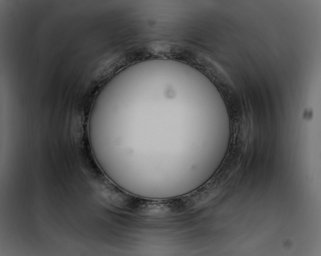 X0000102260702200808081401